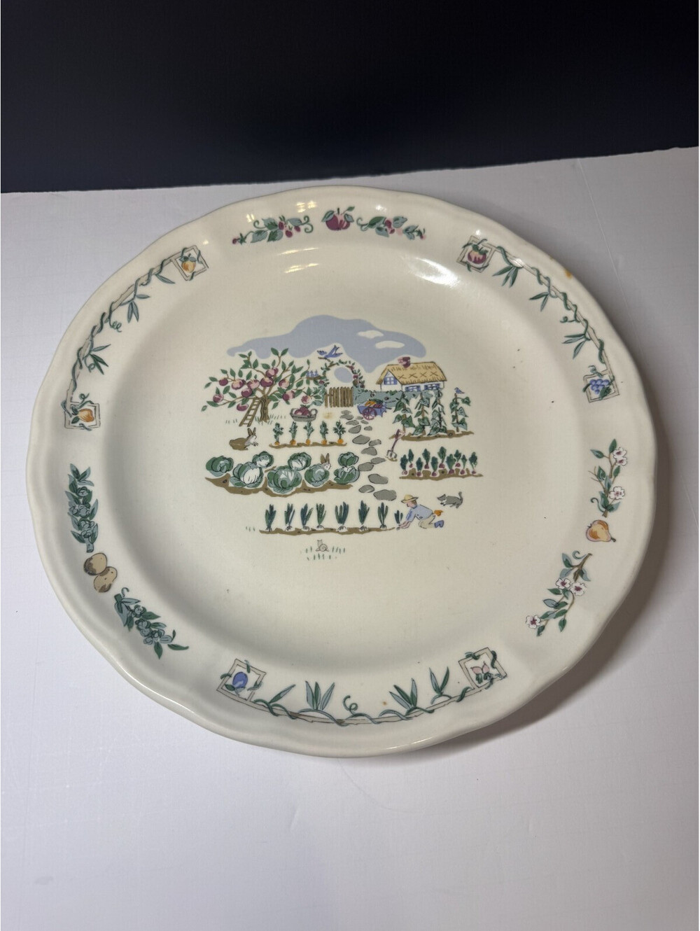 Pfaltzgraff Stoneware Dinner Plate Apple Valley Garden Vegetables Farm 11 inch